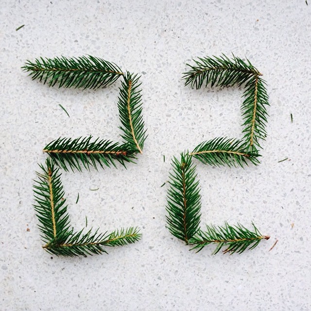 #kahdeskymmenestoinen #joulukuuta 