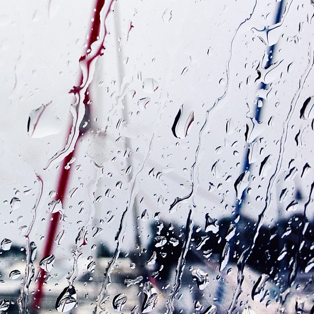 Päivä 5. Tuulinen ja sateinen. 