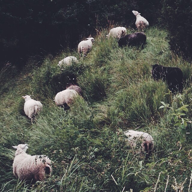 #kastelholm #åland #ourfinland #visitarchipelago 